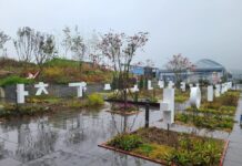 경기도일자리재단, 직업계고 학생 진로 유형별 맞춤 전략 제시