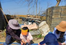 경기도, 학교급식 공급 우수경기미 가격 현실화. 안정적 농가소득 보장